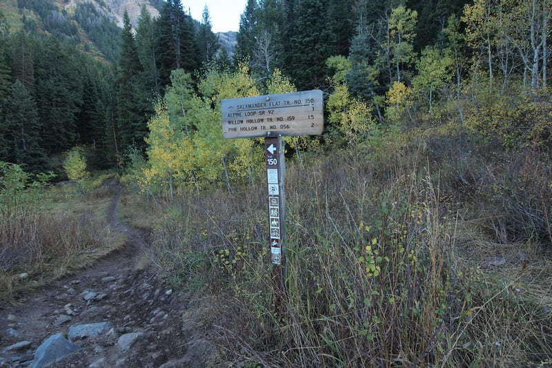 Case image 1