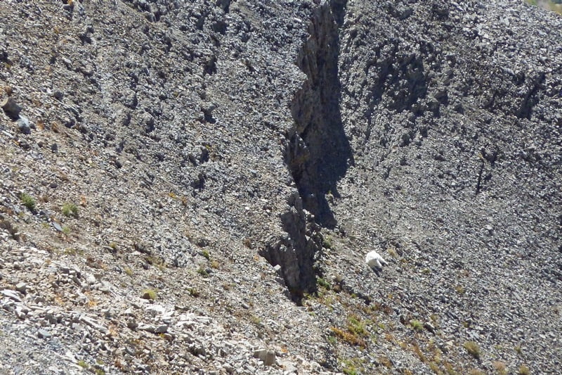 Case image 2