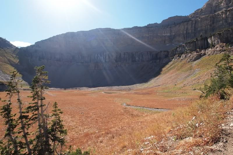 Case image 3