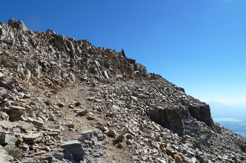 Case image 6