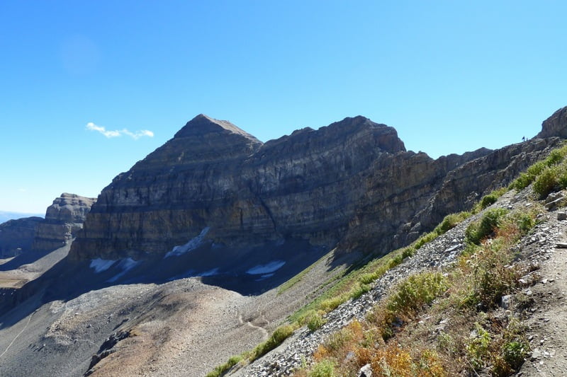 Case image 7