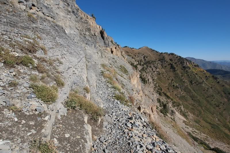 Case image 10