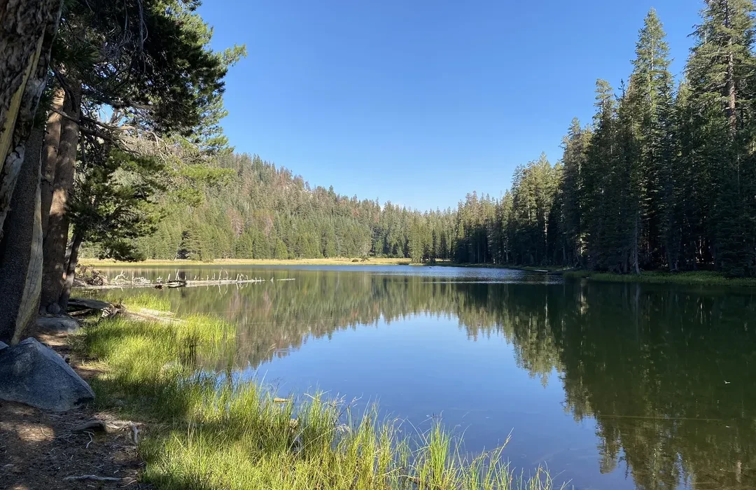 Walter Reinhard Missing From White Wolf, Yosemite National Park
